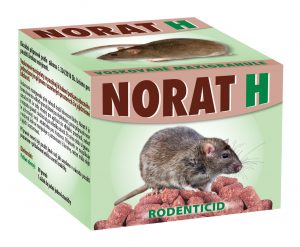 Norat H
